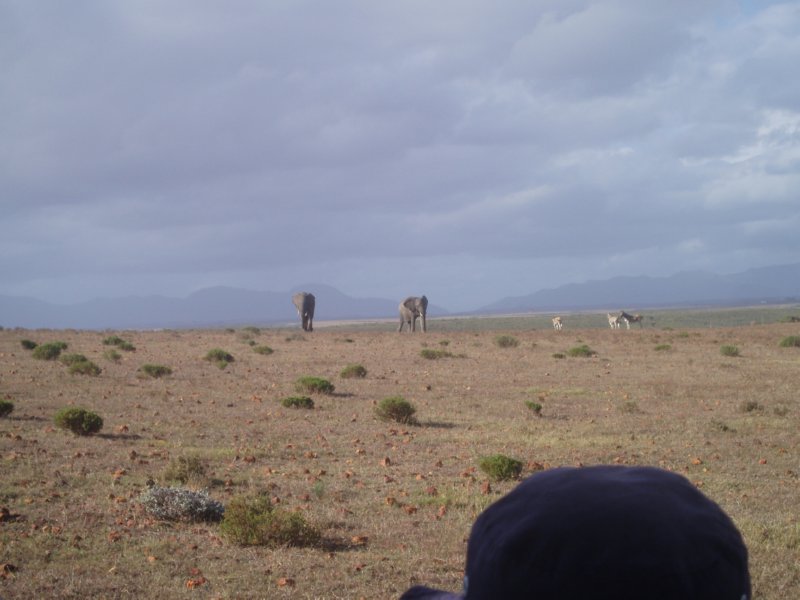 KeHa_in_South_Africa - 196
